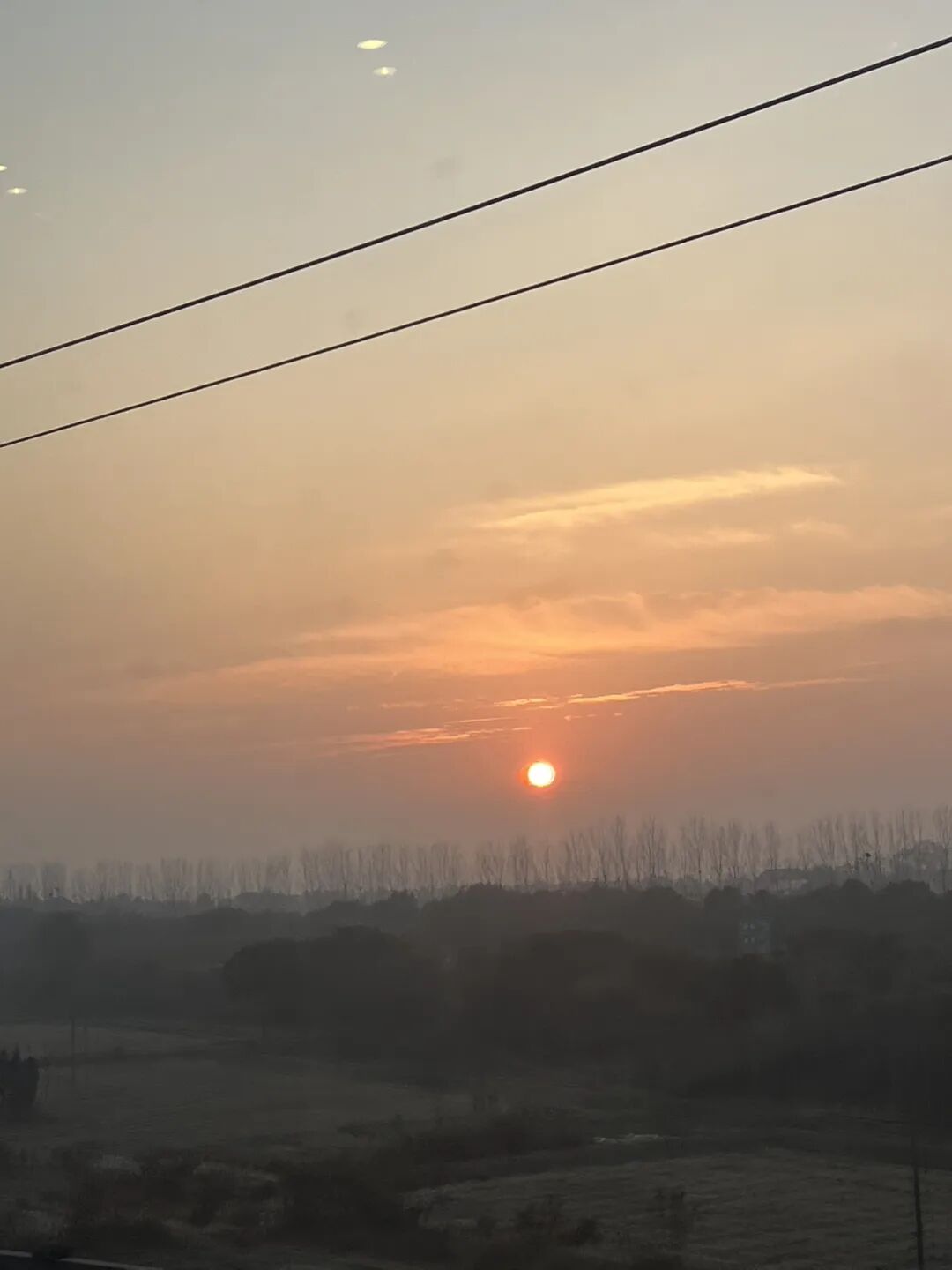 2026年,送给想做AI一人公司的25条底层逻辑